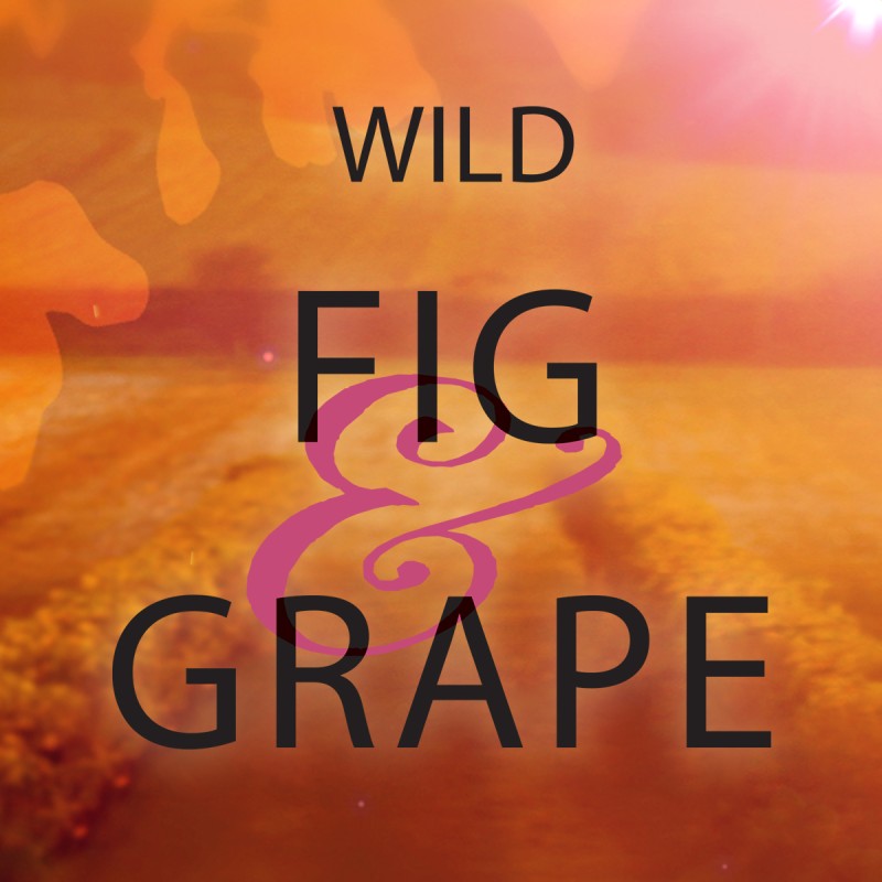 media/image/Wild-Fig-Grape-Tile-1200x1200.jpg